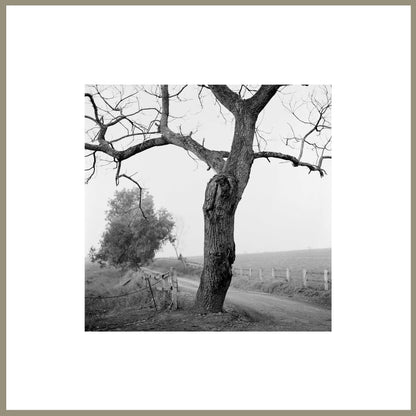 Spirit, Tranquility, and Landscape 36